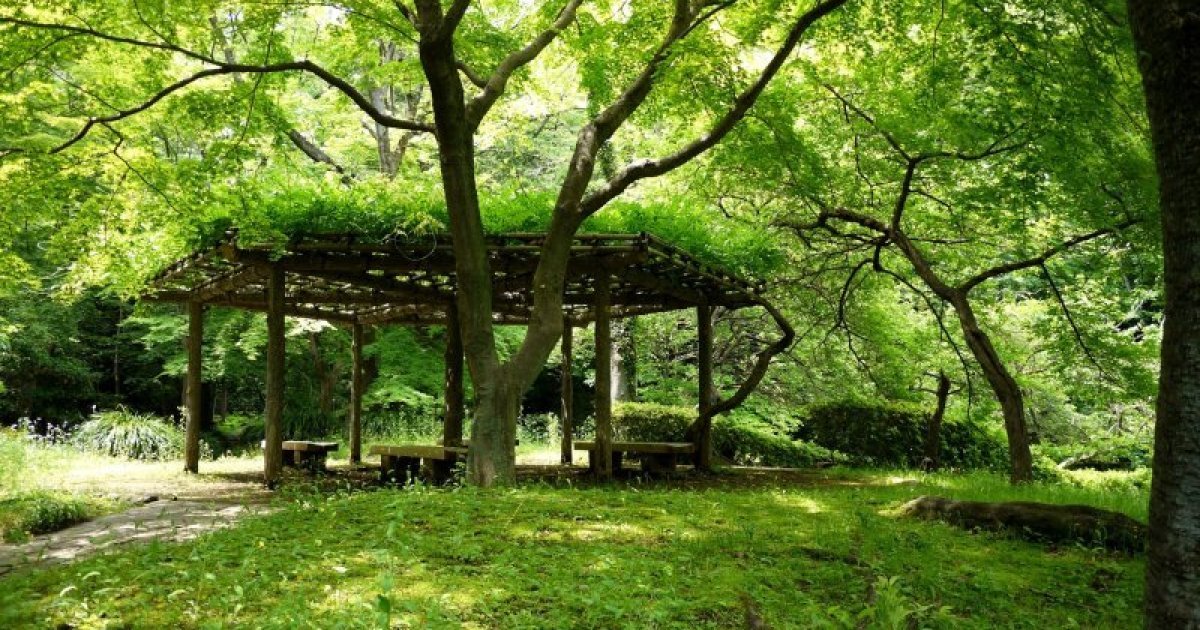 🎨 국제판화 미술관(마치다시리츠코쿠사이한가비주츠칸) 이미지 5